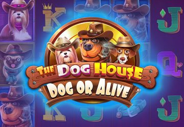 Автомат The Dog House Dog Or Alive в Vodka Casino